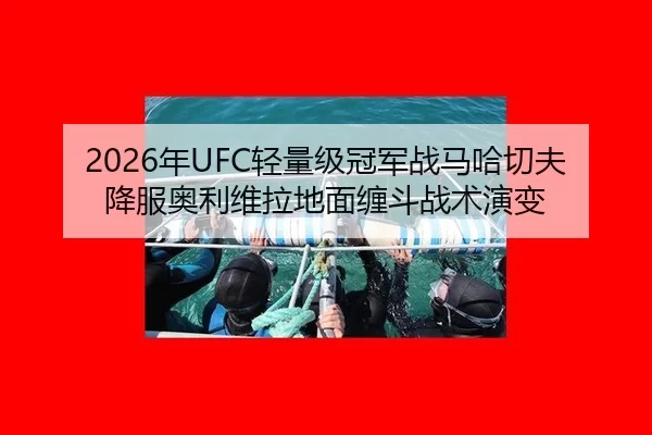 2026年UFC轻量级冠军战马哈切夫降服奥利维拉地面缠斗战术演变